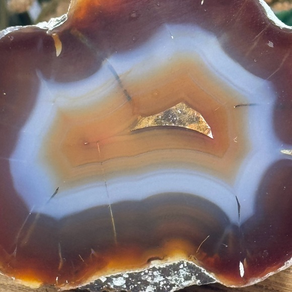 Coyamito Agate from Chihuahua Mexico - Picture 2 of 7